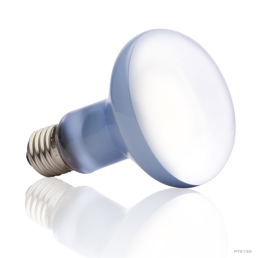 Exo Terra Daylight Basking Spot L&aacute;mpara 100 W para terrarios, , large Imagen numero 2